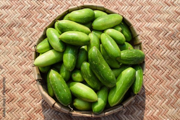 IVY GOURD | கோவக்காய் - Image 2