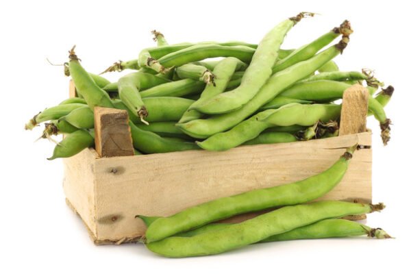 BROAD BEANS | பட்டை அவரைக்காய் - Image 2