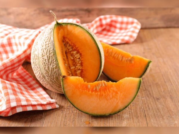 MUSKMELON | முலாம்பழம் - Image 2