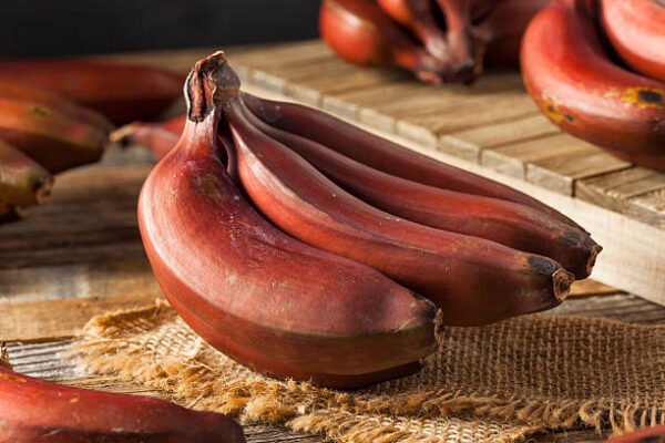 RED BANANA | செவ்வாழை