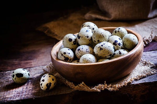 KADA EGGS | காடை முட்டை