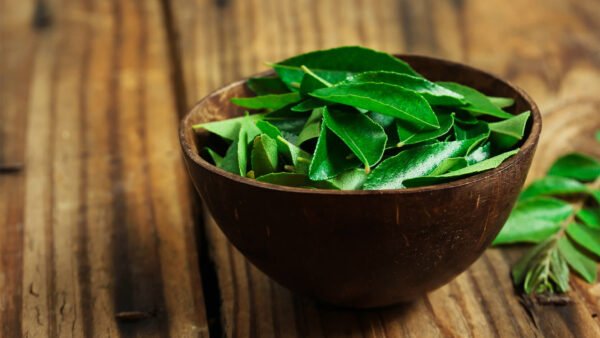 CURRY LEAVES | கறிவேப்பிலை - Image 3