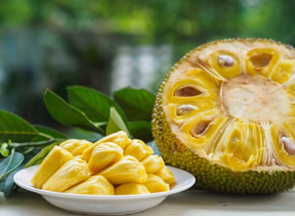 JACKFRUIT | பலாப்பழம் - Image 5
